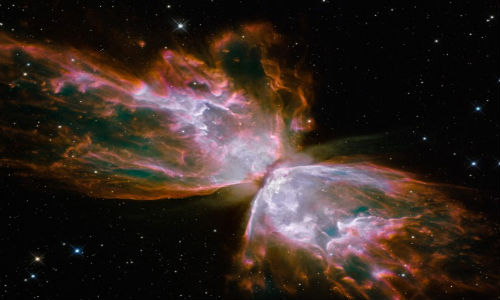 bug-nembula