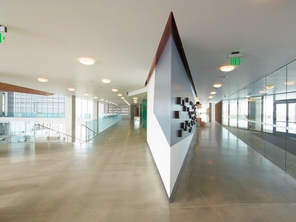 Adobe office