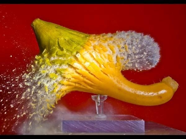 हाईस्पीड कैमरे से ली गई फोटोग्राफ