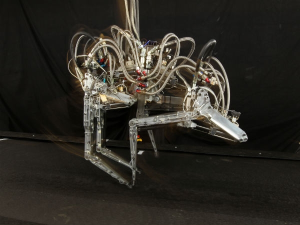 World's fastest robot