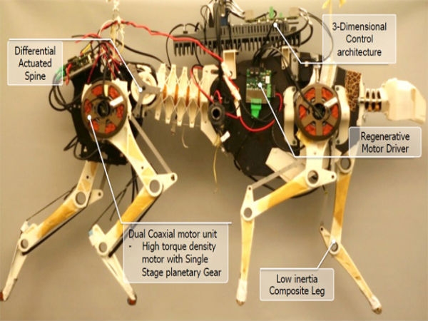 World's fastest robot