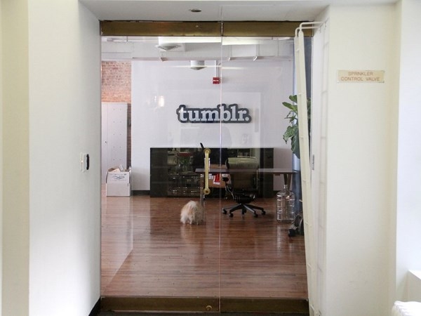 Inside The Offices Of Tumblr