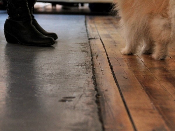 Inside The Offices Of Tumblr