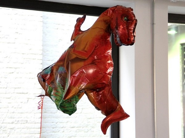 Inside The Offices Of Tumblr