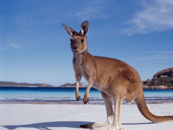 Australia