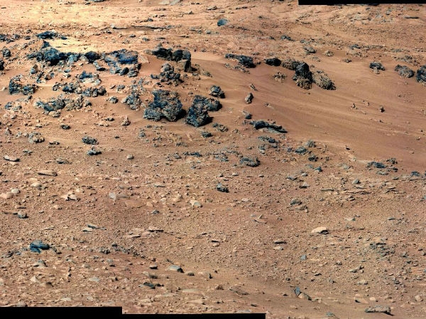 Rat on Mars