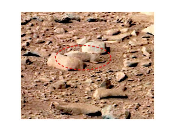 Rat on Mars