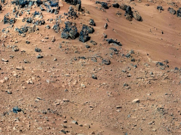 Rat on Mars