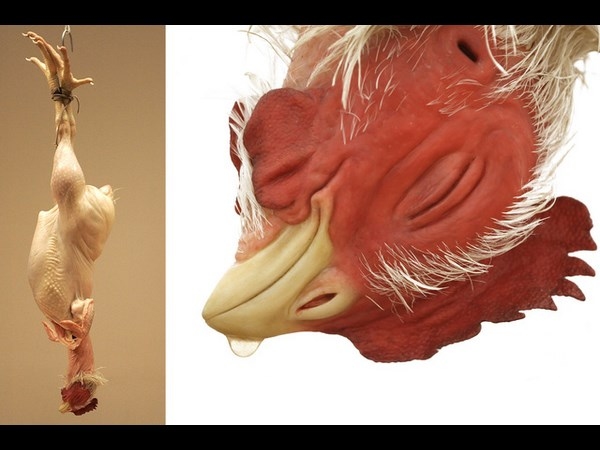 Amazing Sculptures paintings