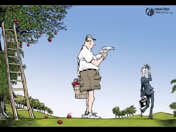 apple vs samsung cartoons