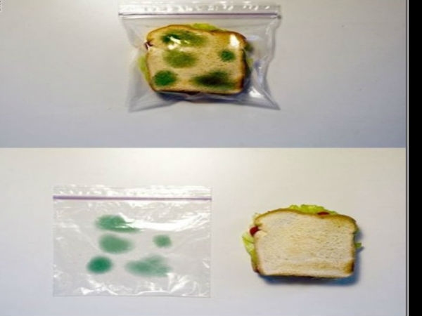 Creative Daily Use Gadgets