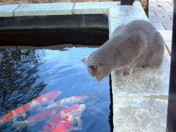 Facebook funny photo