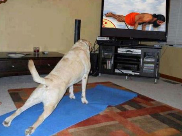 Facebook funny photo