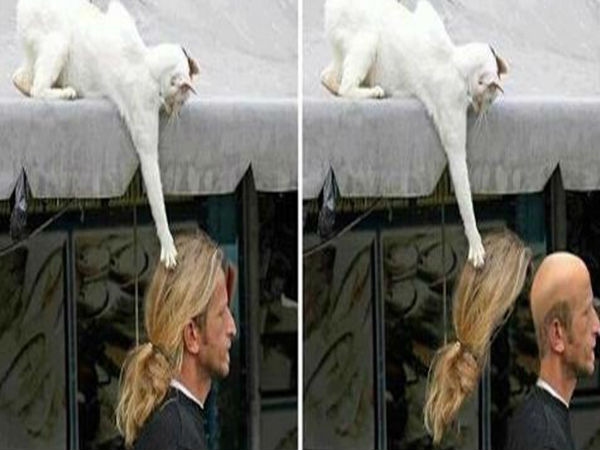 Facebook funny photo