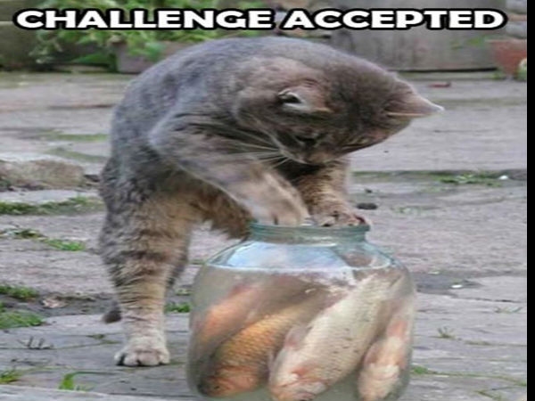 Facebook funny photo