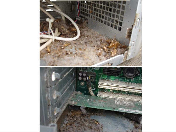 Surprising Things Found Inside Computers