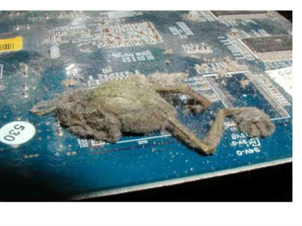 Surprising Things Found Inside Computers