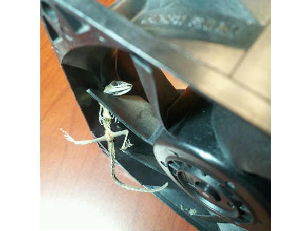 Surprising Things Found Inside Computers