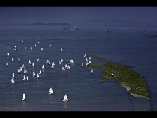 Algae on China Beaches