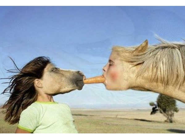 Terrifyingly Amazing Face Swaps