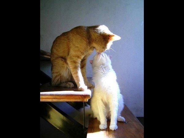 Perfect time photo