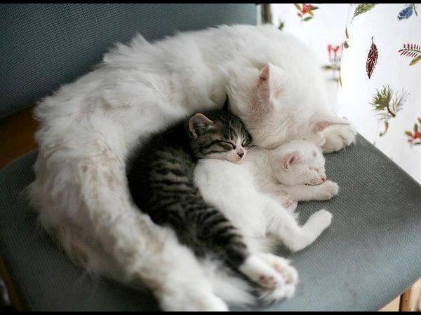 Perfect time photo