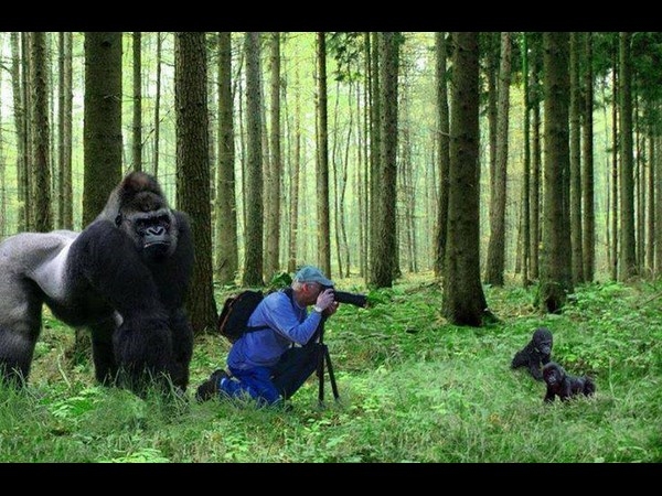 Perfect time photo