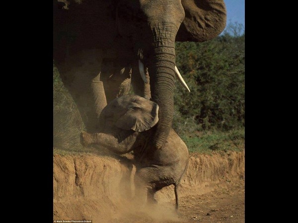 Perfect time photo