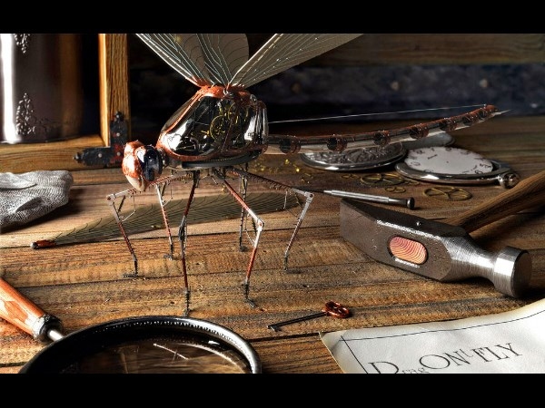 Insect Robot