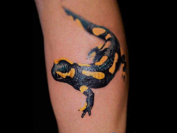 3D tatto