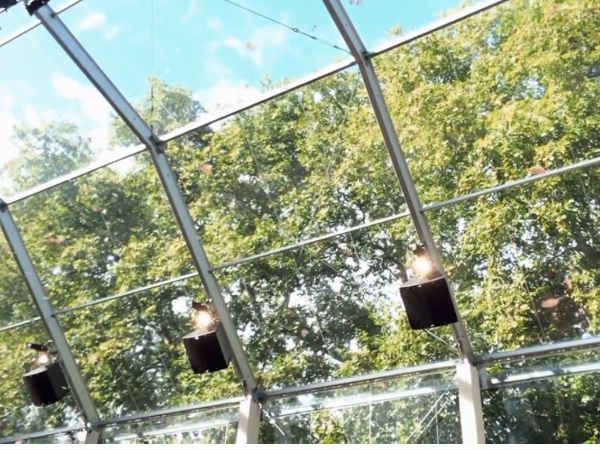 Burberry fashion show shot entirely with iPhone 5s