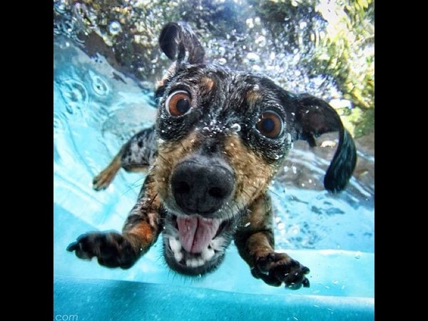 Underwater Instagram Photos