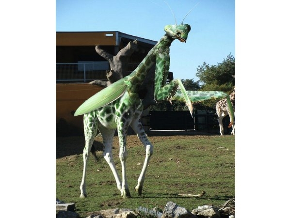 # 10 computer generated Hybrid Animals