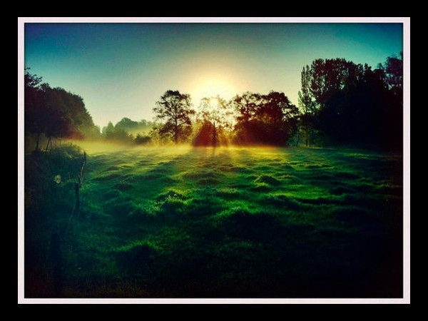 Sun Streaming in Foggy field By Robert-Paul Jansen