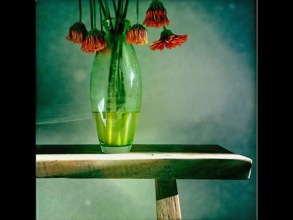 Still Dead By Robert-Paul Jansen