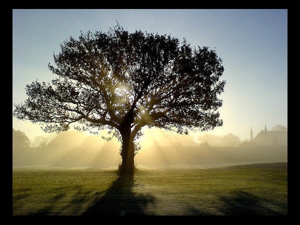 Drop of Golden Sun By Janesdead