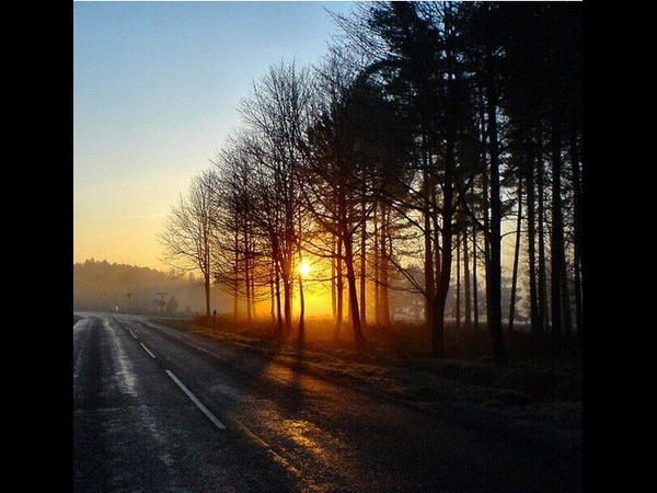 Sunrise On Cannock Chase By Jennie Anderson