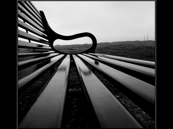Blackford Bench By Photography JC
