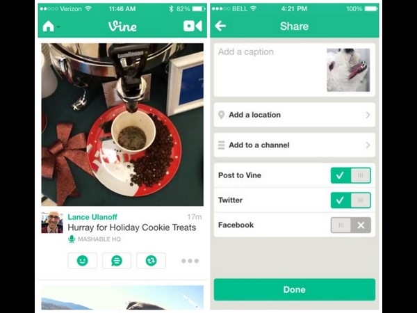 Vine