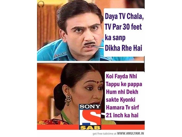 एक से बढ़कर एक हैं