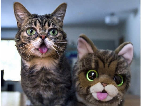 iamlilbub