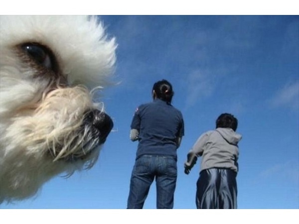 Photobomb 1