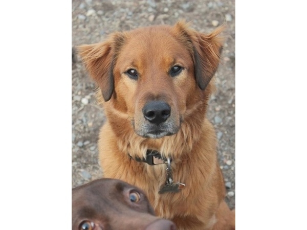 Photobomb 3