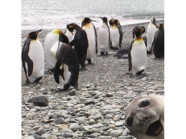 Photobomb 5