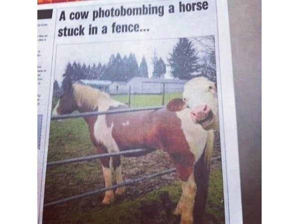 Photobomb 9
