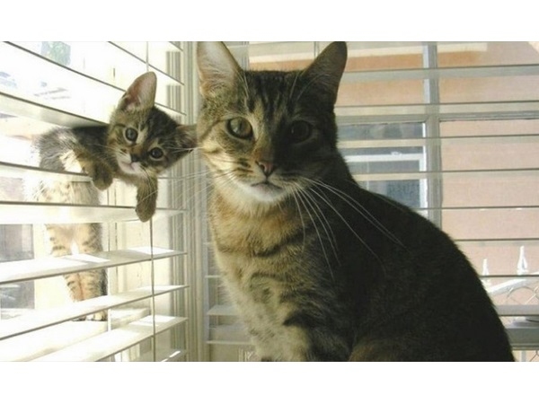 Photobomb 10