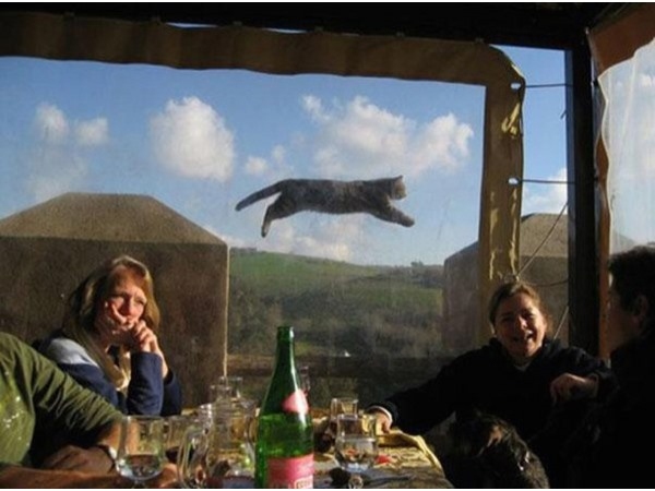 Photobomb 12