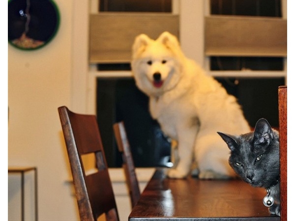 Photobomb 14