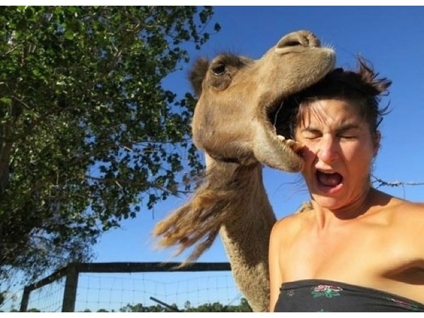 Photobomb 24