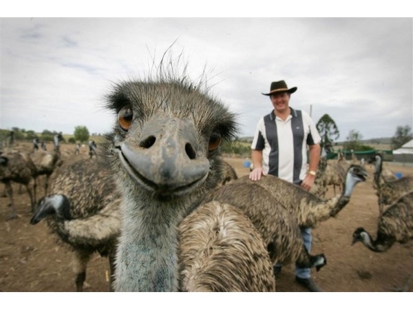 Photobomb 21